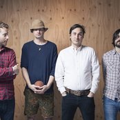 Owls - List pictures