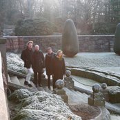 The Mary Onettes - List pictures