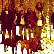 Black Crowes - List pictures
