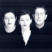 Single Gun Theory - List pictures