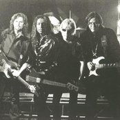 Black Sheep - List pictures