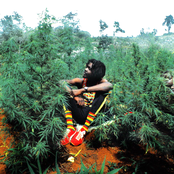 Peter Tosh - List pictures