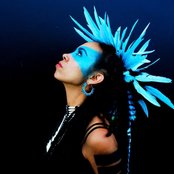 Blue King Brown - List pictures