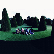 Ocean Colour Scene - List pictures