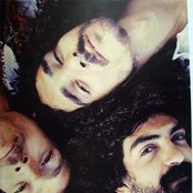 Os Novos Baianos - List pictures