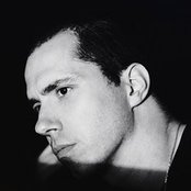 Calyx - List pictures