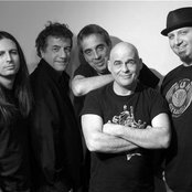 Vilain Pingouin - List pictures