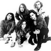 Sage - List pictures