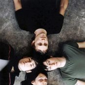 Shocking Pinks - List pictures