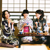 Perfume - List pictures
