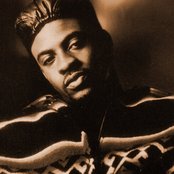 Maestro Fresh Wes - List pictures