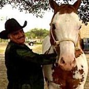 Vicente Fernandez - List pictures