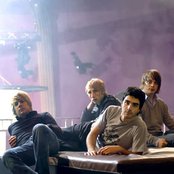 Goose - List pictures