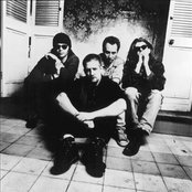 The Nixons - List pictures