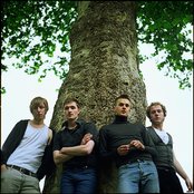 Wild Beasts - List pictures