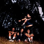 36 Crazyfists - List pictures