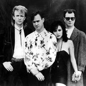 Cock Robin - List pictures