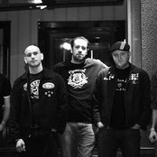 Born To Lose - List pictures