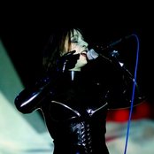 Die Form - List pictures