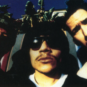 Funkdoobiest - List pictures