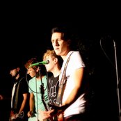 Rotten Bark - List pictures