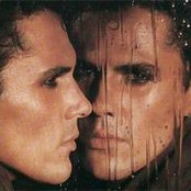 Gazebo - List pictures