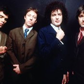 Custard - List pictures