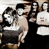 The Cranes - List pictures