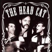 The Head Cat - List pictures