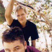 Silage - List pictures