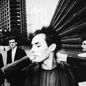 Bauhaus - List pictures