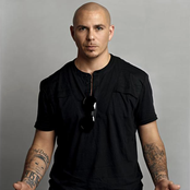 Pitbull - List pictures