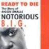 Yellow 5 - List pictures