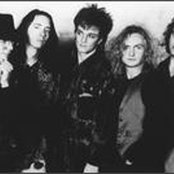 Human Radio - List pictures