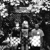 Burnt Palms - List pictures