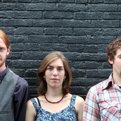 Stray Birds - List pictures