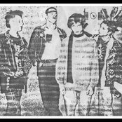 Kranium - List pictures