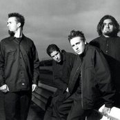 Papa Roach - List pictures