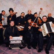 Taraf De Haïdouks - List pictures