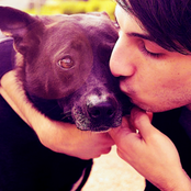 Cash Cash - List pictures