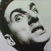 Mick Harvey - List pictures