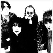 Daisy Chainsaw - List pictures