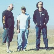 Husky - List pictures