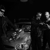 Raubtier - List pictures