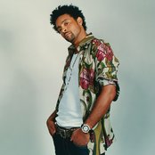 Shaggy - List pictures