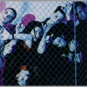 Dreadlock Pussy - List pictures