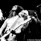 The Deer Tracks - List pictures