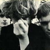 The Clean - List pictures