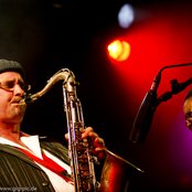 Club Des Belugas - List pictures