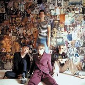 The Servant - List pictures